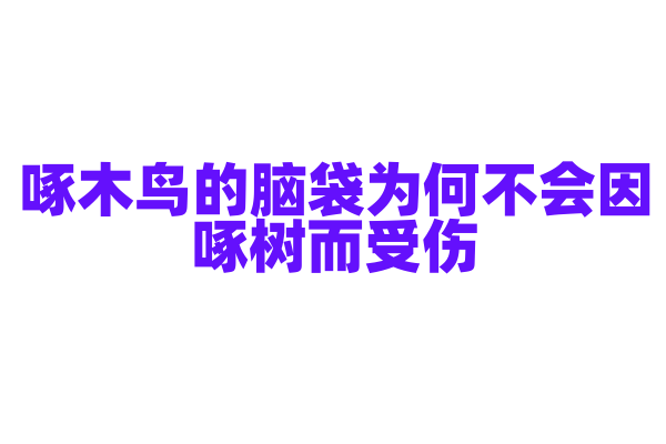 啄木鸟的脑袋为何不会因啄树而受伤？