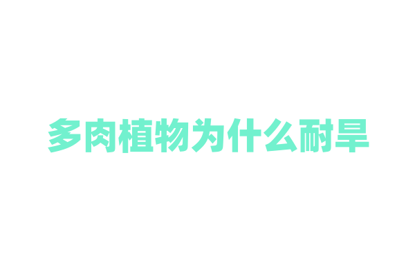 多肉植物为什么耐旱，它的储水结构有什么特别之处？