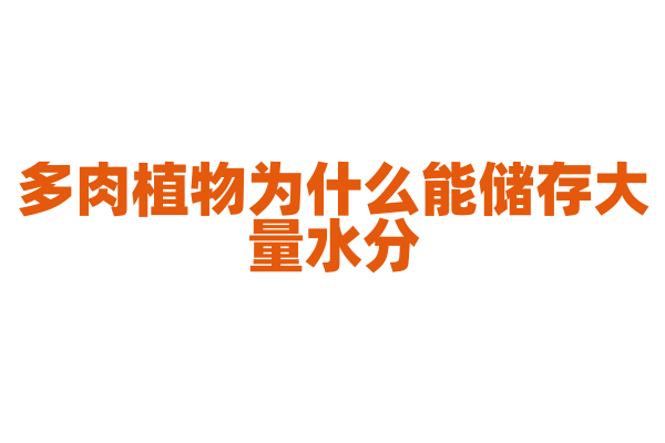 多肉植物为什么能储存大量水分？