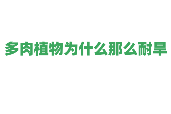 多肉植物为什么那么耐旱，它的储水机制是怎样的？