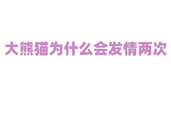 大熊猫为什么会发情两次？