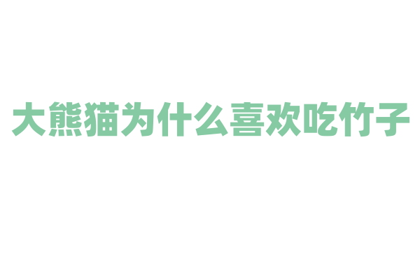 大熊猫为什么喜欢吃竹子