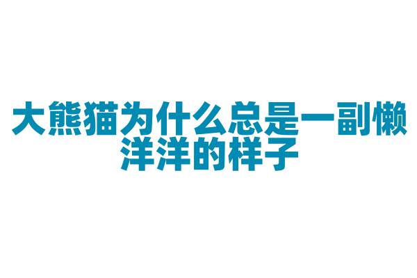 大熊猫为什么总是一副懒洋洋的样子？