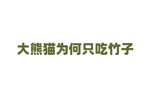 大熊猫为何只吃竹子