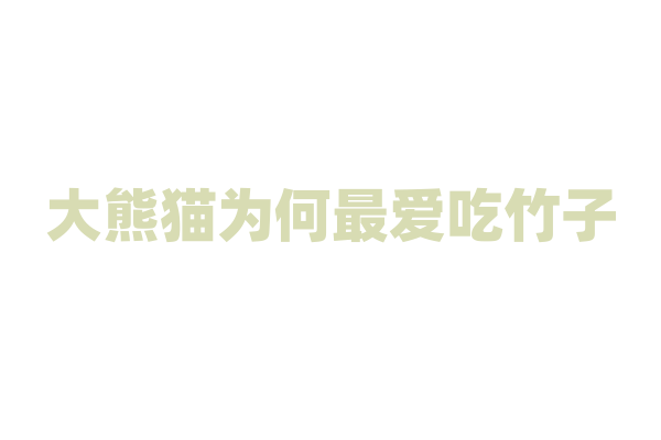 大熊猫为何最爱吃竹子