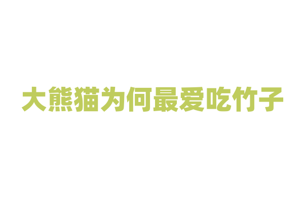 大熊猫为何最爱吃竹子？