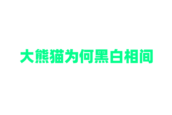 大熊猫为何黑白相间？