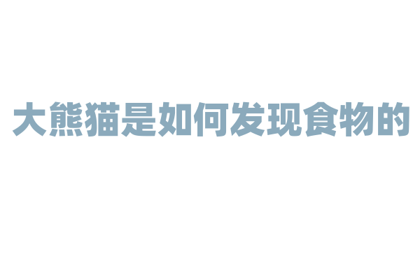 大熊猫是如何发现食物的？