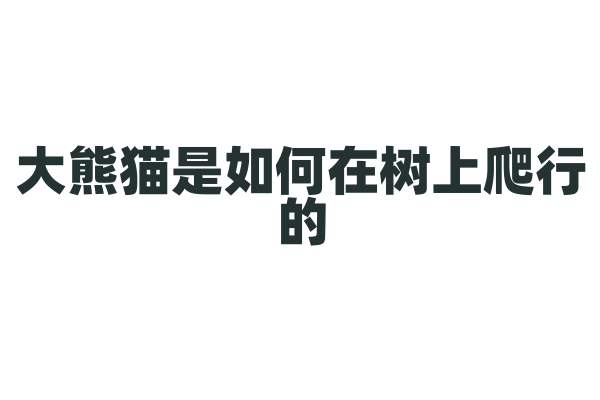 大熊猫是如何在树上爬行的？