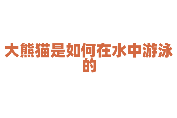 大熊猫是如何在水中游泳的？