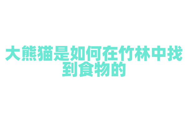 大熊猫是如何在竹林中找到食物的？