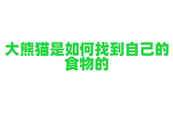 大熊猫是如何找到自己的食物的？