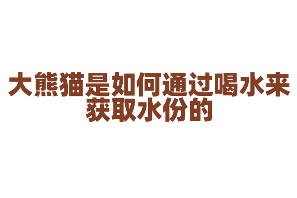 大熊猫是如何通过喝水来获取水份的？