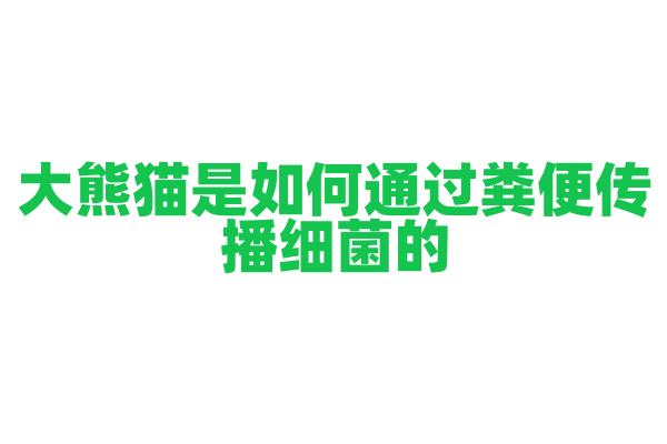 大熊猫是如何通过粪便传播细菌的？