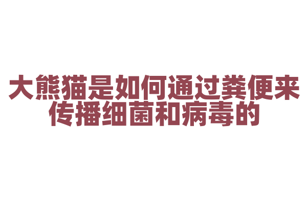 大熊猫是如何通过粪便来传播细菌和病毒的？