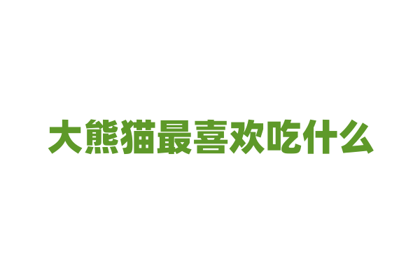 大熊猫最喜欢吃什么？