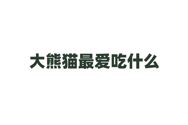 大熊猫最爱吃什么？