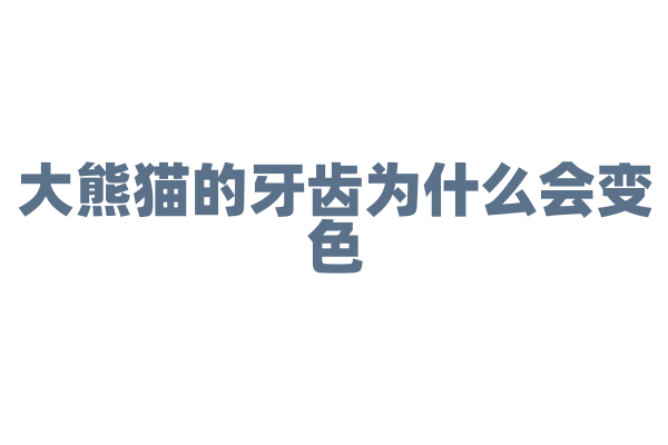 大熊猫的牙齿为什么会变色？