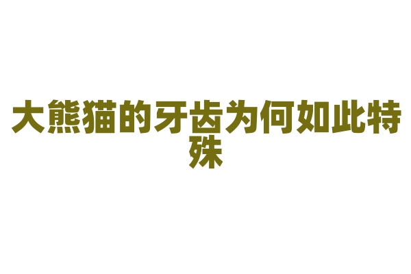大熊猫的牙齿为何如此特殊？