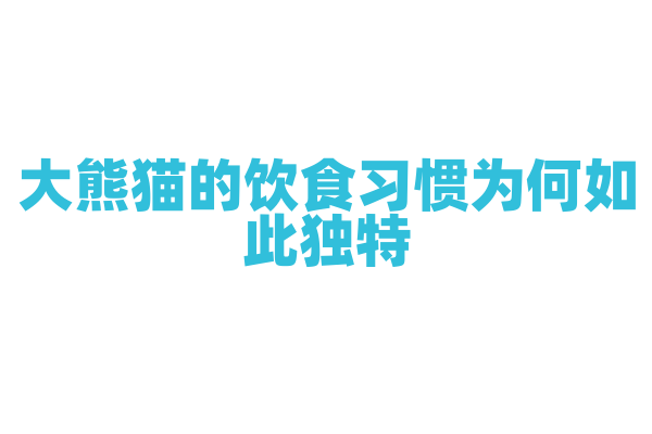 大熊猫的饮食习惯为何如此独特？