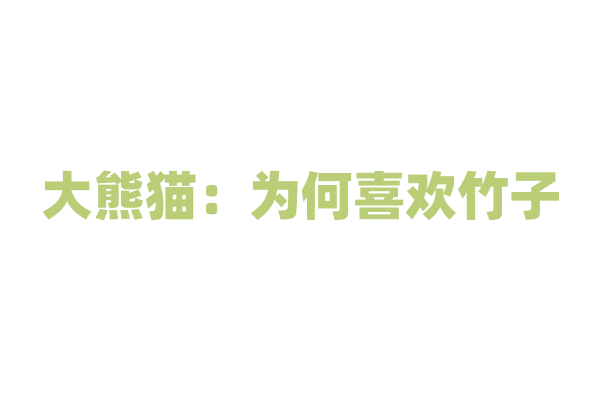 大熊猫：为何喜欢竹子？