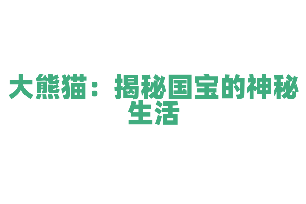 大熊猫：揭秘国宝的神秘生活
