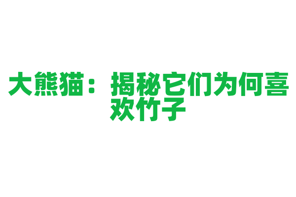 大熊猫：揭秘它们为何喜欢竹子