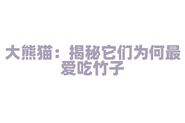 大熊猫：揭秘它们为何最爱吃竹子