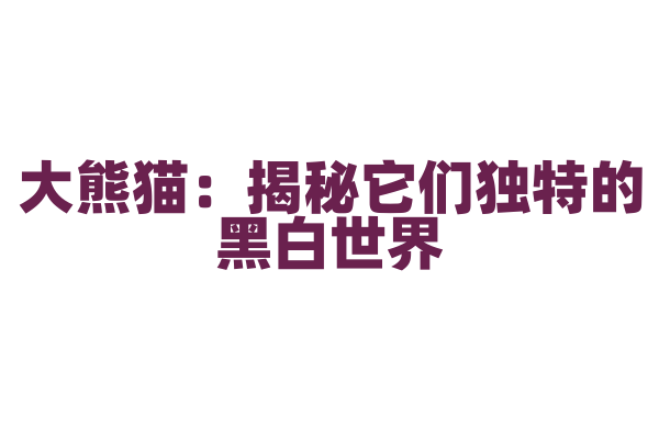 大熊猫：揭秘它们独特的黑白世界