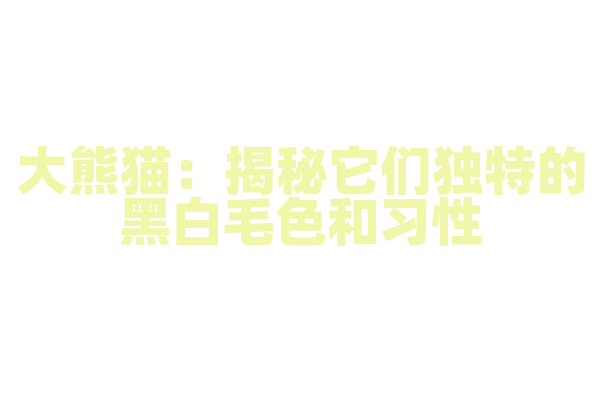 大熊猫：揭秘它们独特的黑白毛色和习性