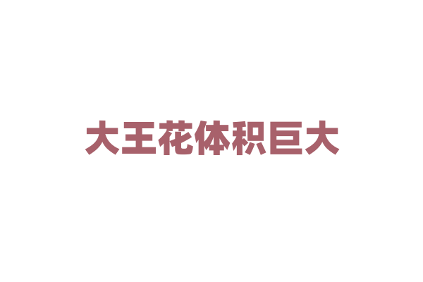 大王花体积巨大，为何散发腐臭气味？