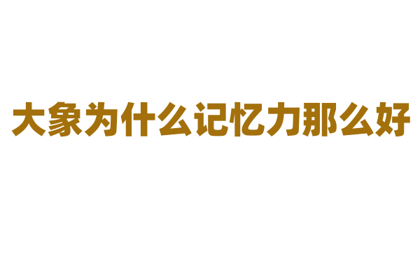 大象为什么记忆力那么好，它的大脑有什么独特之处？