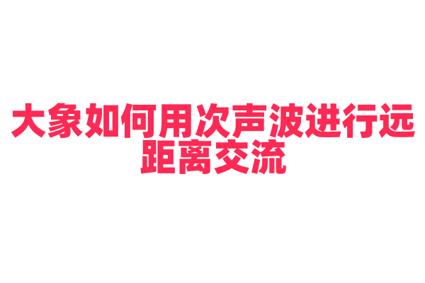 大象如何用次声波进行远距离交流？