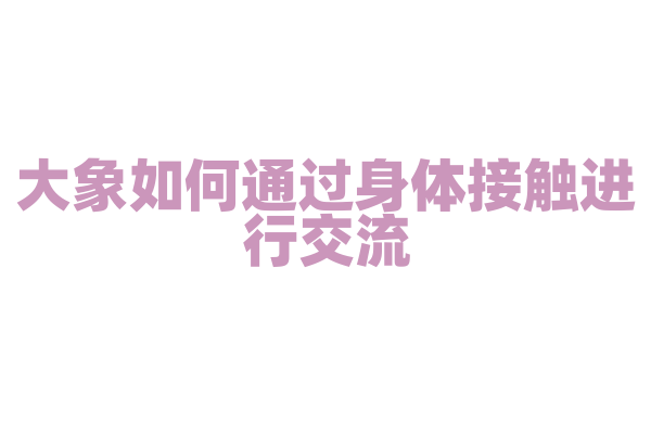 大象如何通过身体接触进行交流？
