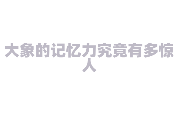 大象的记忆力究竟有多惊人
