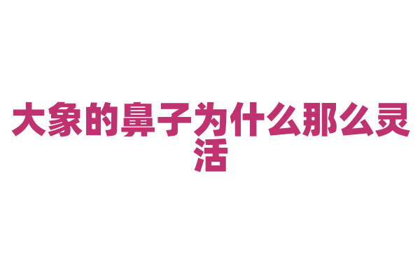 大象的鼻子为什么那么灵活，它能做哪些事情？