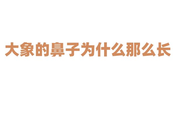 大象的鼻子为什么那么长？
