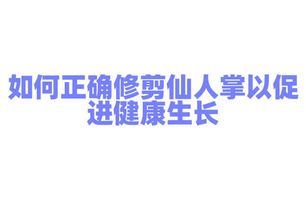 如何正确修剪仙人掌以促进健康生长？