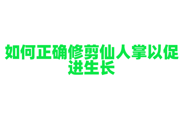 如何正确修剪仙人掌以促进生长