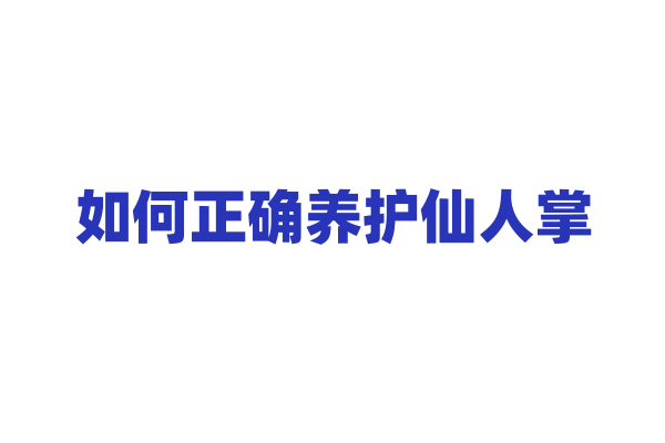 如何正确养护仙人掌？