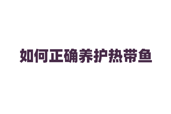 如何正确养护热带鱼？