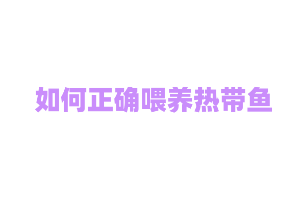 如何正确喂养热带鱼