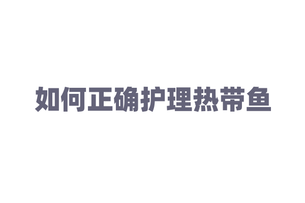 如何正确护理热带鱼
