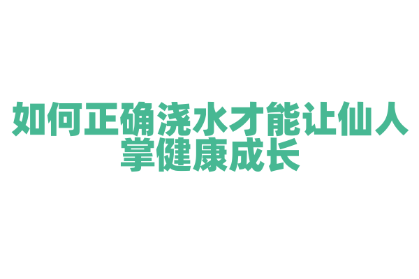 如何正确浇水才能让仙人掌健康成长？