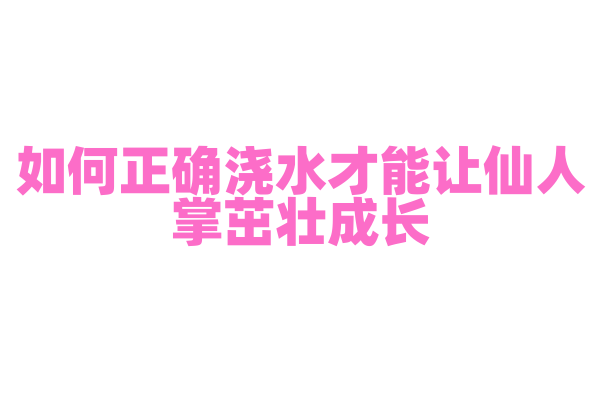 如何正确浇水才能让仙人掌茁壮成长？