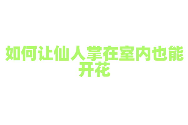 如何让仙人掌在室内也能开花？