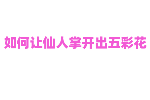 如何让仙人掌开出五彩花