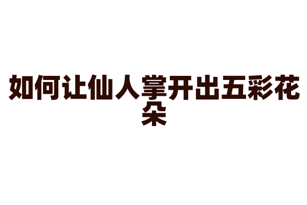 如何让仙人掌开出五彩花朵？