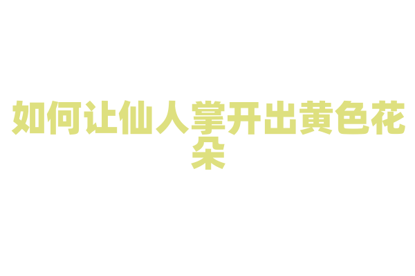 如何让仙人掌开出黄色花朵