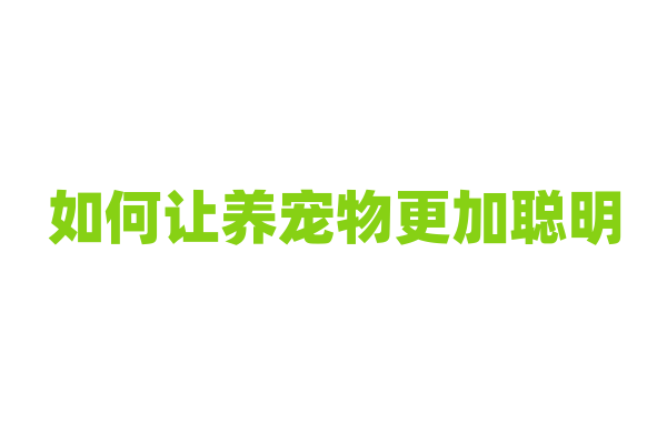 如何让养宠物更加聪明？